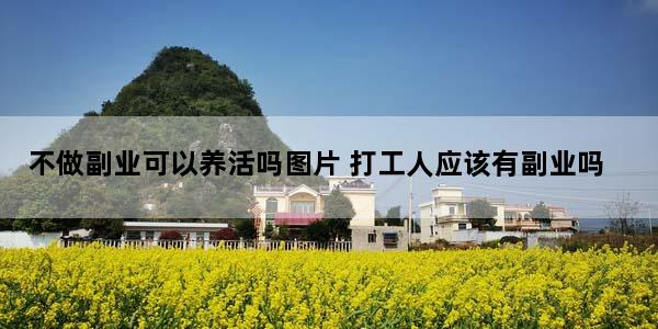 不做副业可以养活吗图片 打工人应该有副业吗